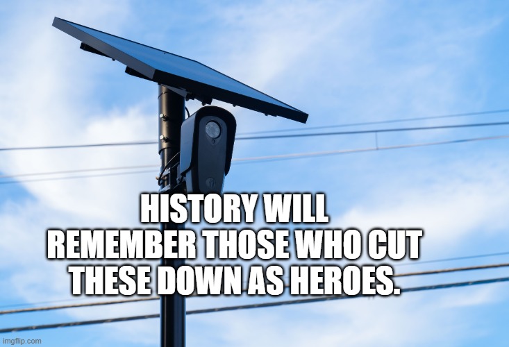 Flock Camera | History Will remember those who cut these down as heroes. | image tagged in flock camera | made w/ Imgflip meme maker