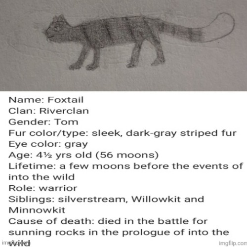 Warrior cats OC:) | image tagged in warrior cats,oc | made w/ Imgflip meme maker