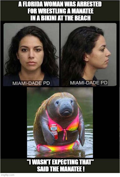That's Indecent Assault ! | A Florida woman was arrested
 for wrestling a manatee
 in a bikini at the beach; "I wasn't expecting that"
 said the manatee ! | image tagged in florida,woman,arrested,manatee,bikini,ai | made w/ Imgflip meme maker