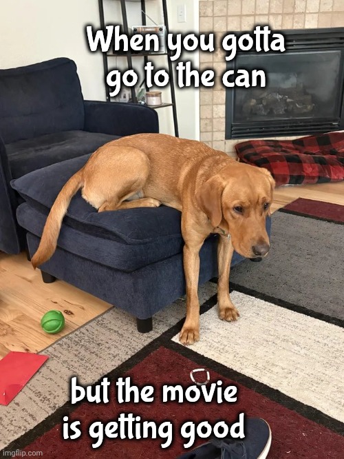 The Good Part | When you gotta go to the can; but the movie is getting good | image tagged in uncomfortable,when you gotta go,you gotta go,first rule of life,dog | made w/ Imgflip meme maker