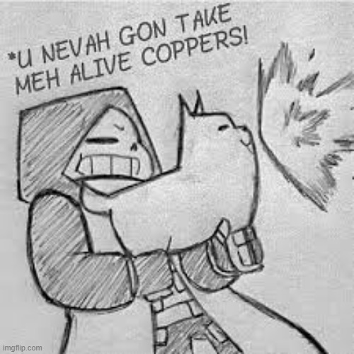 image tagged in epic sans you'll nevah gon take meh alive coppers | made w/ Imgflip meme maker