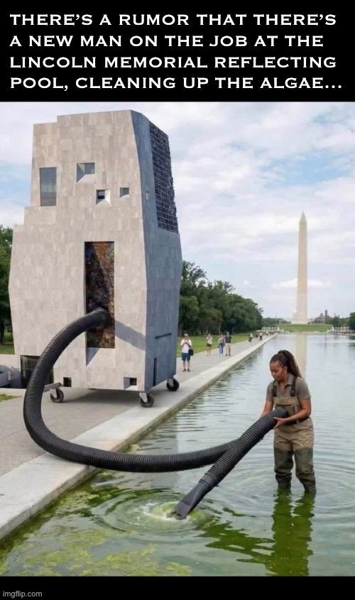 That thing has all kinds of potential uses | There’s a rumor that there’s 
a new man on the job at the 
Lincoln memorial reflecting 
pool, cleaning up the algae… | image tagged in political meme,lincoln memorial,reflecting pool,algae,new man,clean up | made w/ Imgflip meme maker
