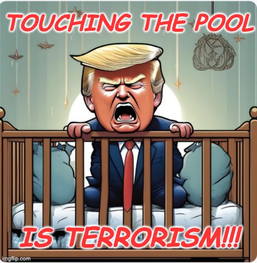 The worst, probably the worst ever | touching the pool is terrorism!!! | image tagged in trump baby toddler infant immature tantrum,algae,propaganda,idiocracy | made w/ Imgflip meme maker