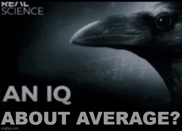 An IQ | about average? | image tagged in an iq | made w/ Imgflip meme maker
