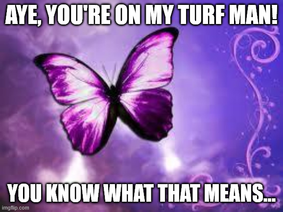 Purple Butterfly | aye, you're on my turf man! you know what that means... | image tagged in purple butterfly | made w/ Imgflip meme maker