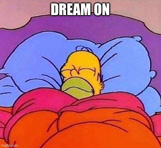 Dream on | image tagged in homer simpson sleeping peacefully | made w/ Imgflip meme maker