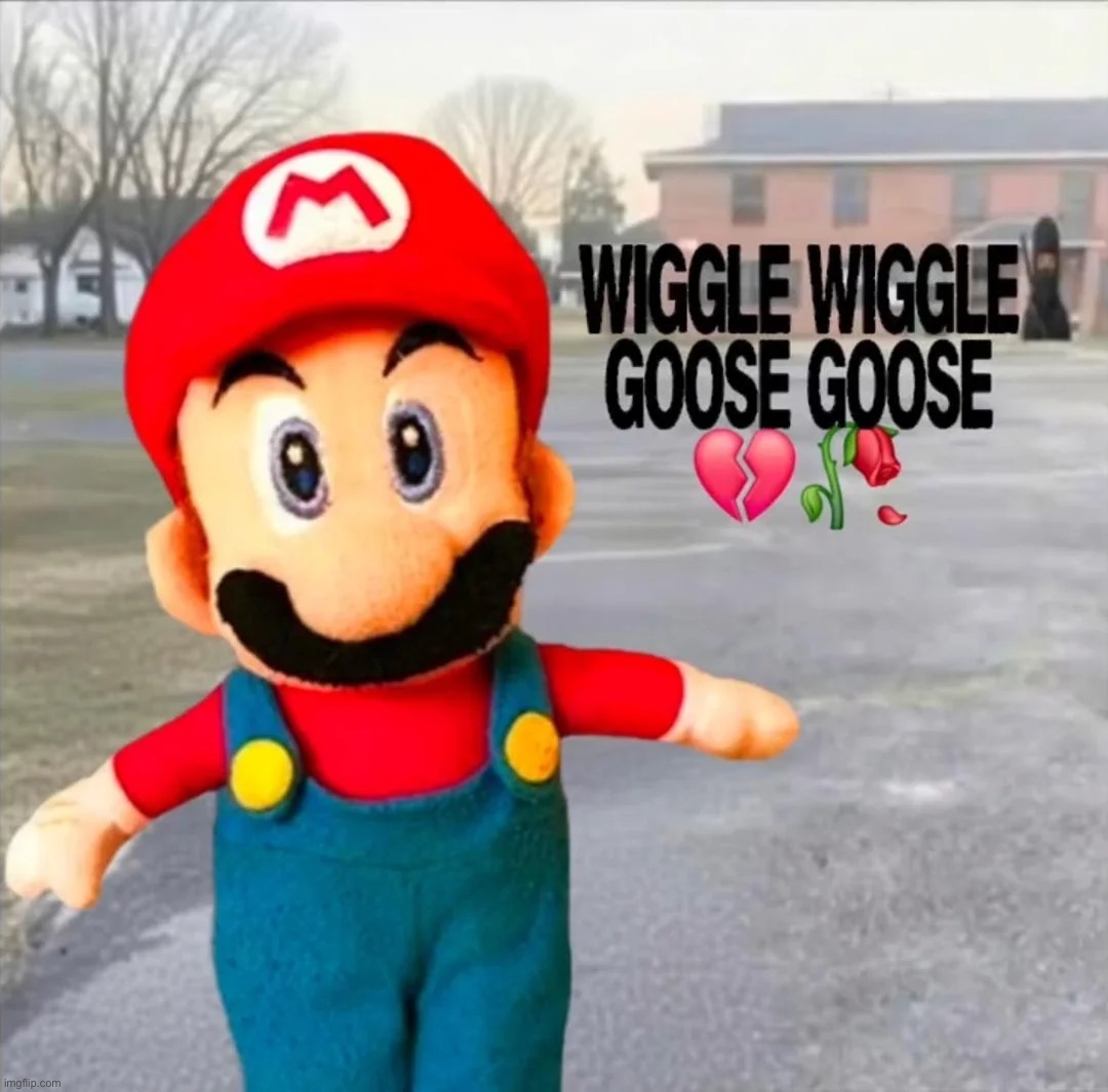 Wiggle wiggle goose goose (raiding) | image tagged in sybau,shitpost | made w/ Imgflip meme maker