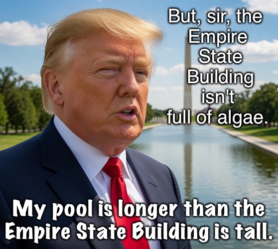 Trump reflecting on his pool | But, sir, the 
Empire
 State
 Building isn't full of algae. My pool is longer than the Empire State Building is tall. | image tagged in trump washington monument reflecting pool | made w/ Imgflip meme maker