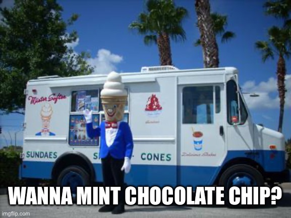 Wanna mint chocolate chip? | image tagged in ice cream man | made w/ Imgflip meme maker