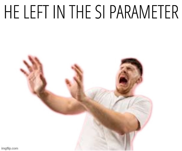 HE LEFT IN THE SI PARAMETER | image tagged in he left all caps on custom | made w/ Imgflip meme maker