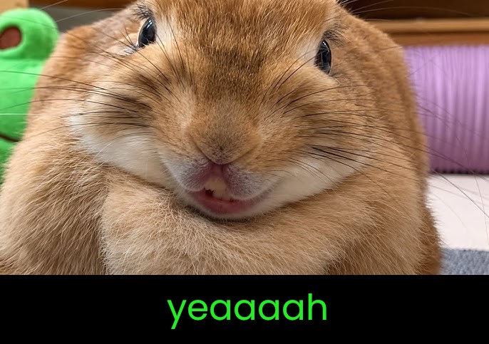 yeaaaah | made w/ Imgflip meme maker