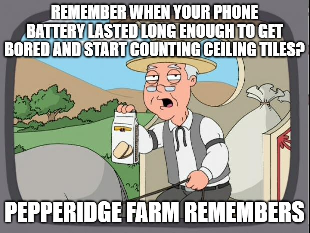 Pepridge farms | REMEMBER WHEN YOUR PHONE BATTERY LASTED LONG ENOUGH TO GET BORED AND START COUNTING CEILING TILES? PEPPERIDGE FARM REMEMBERS | image tagged in pepridge farms | made w/ Imgflip meme maker