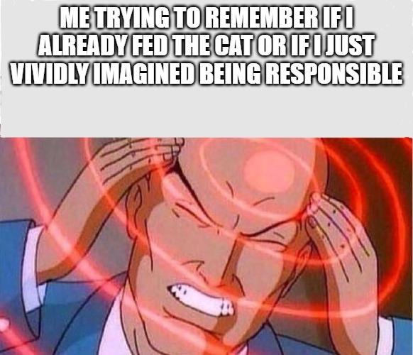 Me trying to remember | Me trying to remember if I already fed the cat or if I just vividly imagined being responsible | image tagged in me trying to remember | made w/ Imgflip meme maker