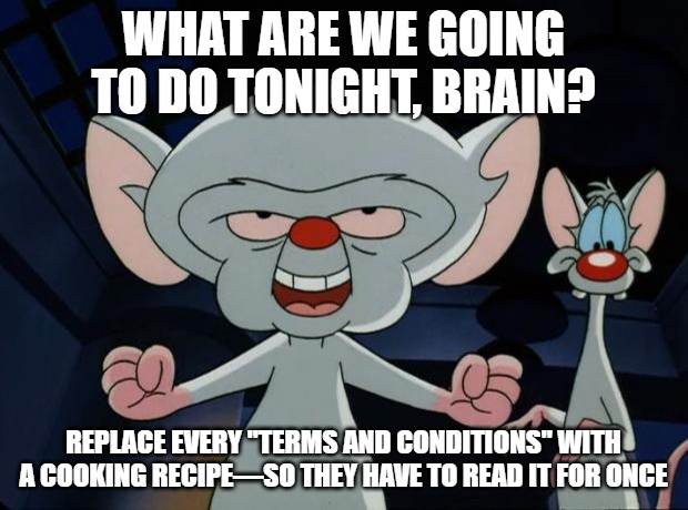 Pinky and the Brain | WHAT ARE WE GOING TO DO TONIGHT, BRAIN? REPLACE EVERY "TERMS AND CONDITIONS" WITH A COOKING RECIPE—SO THEY HAVE TO READ IT FOR ONCE | image tagged in pinky and the brain | made w/ Imgflip meme maker