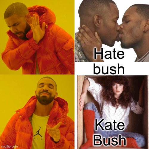 Hate bush Kate Bush | image tagged in memes,drake hotline bling | made w/ Imgflip meme maker