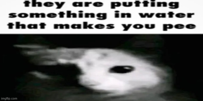 i done woked up early | made w/ Imgflip meme maker