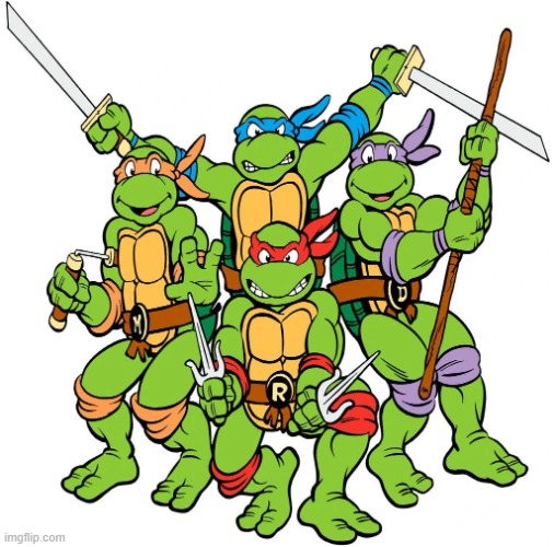 Teenage Mutant Ninja Turtles | image tagged in teenage mutant ninja turtles | made w/ Imgflip meme maker