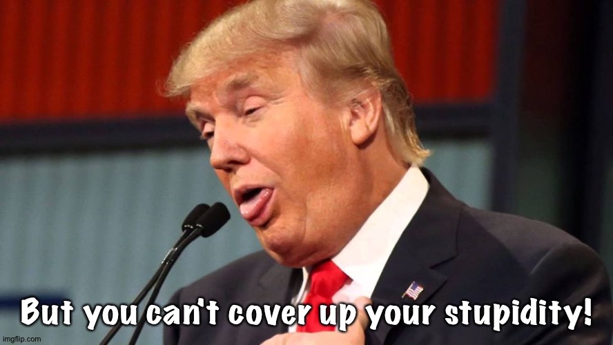 But you can't cover up your stupidity! | image tagged in stupid trump | made w/ Imgflip meme maker
