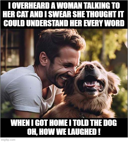 Dogs Are More Cleverer Than Cats ! | I overheard a woman talking to
her cat and i swear she thought it 
could understand her every word; When I got home I told the dog
Oh, how We laughed ! | image tagged in dogs,crazy cat lady,cats,conversation | made w/ Imgflip meme maker