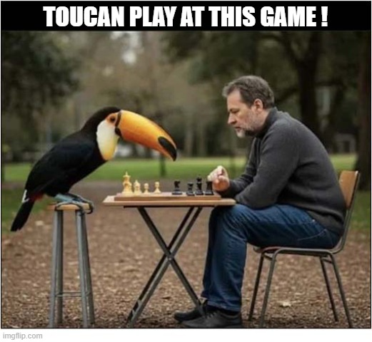 This Clever Bird Loves Challenge ! | Toucan play At This Game ! | image tagged in play on words,toucan,chess | made w/ Imgflip meme maker
