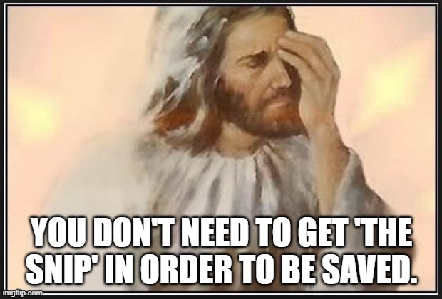 you don't need to get 'the snip' in order to be saved. | image tagged in face palm jesus | made w/ Imgflip meme maker