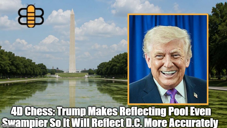 4D Chess: Trump Makes Reflecting Pool Even Swampier So It Will Reflect D.C. More Accurately | made w/ Imgflip meme maker