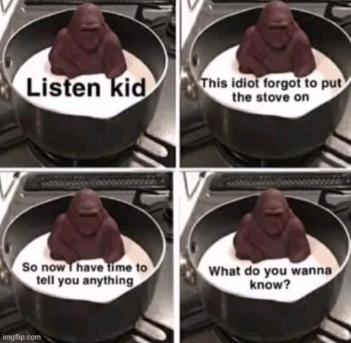 what | image tagged in memes | made w/ Imgflip meme maker