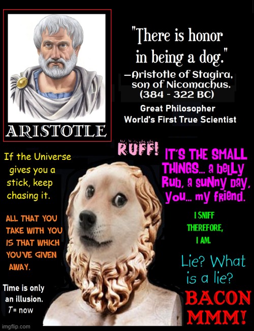 Quotes from Aristotle's Dog | image tagged in vince vance,greek philosopher,aristotle,quotes,dogs,man's best friend | made w/ Imgflip meme maker