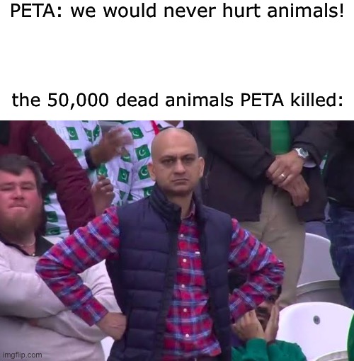peta | PETA: we would never hurt animals! the 50,000 dead animals PETA killed: | image tagged in disappointed man | made w/ Imgflip meme maker