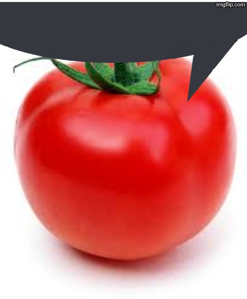 tomato | image tagged in tomato | made w/ Imgflip meme maker