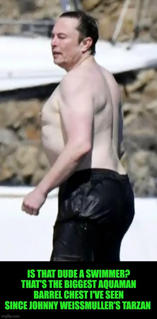 Funny | Is that dude a swimmer?
That's the biggest Aquaman barrel chest I've seen
since Johnny Weissmuller's Tarzan | image tagged in funny,aquaman,elon musk,tarzan,swimming,chest | made w/ Imgflip meme maker
