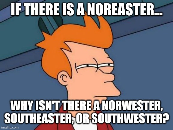 Futurama Fry Meme | If there is a noreaster... Why isn't there a norwester, southeaster, or southwester? | image tagged in memes,futurama fry | made w/ Imgflip meme maker