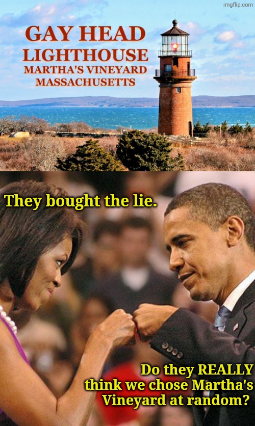 They bought the lie. Do they REALLY think we chose Martha's Vineyard at random? | image tagged in michelle and barak obama fist bump | made w/ Imgflip meme maker