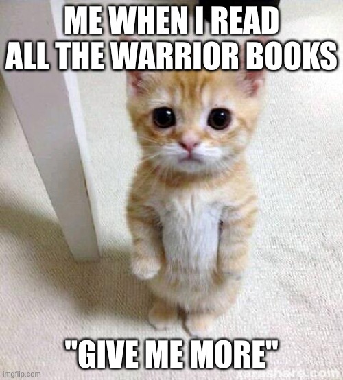 i read warrior cats to much | me when i read all the warrior books; "give me more" | image tagged in memes,cute cat | made w/ Imgflip meme maker