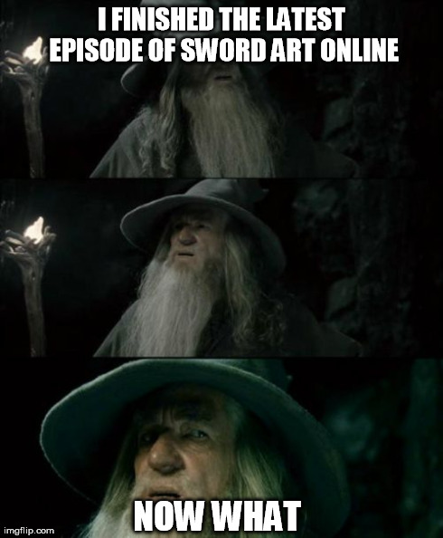 Confused Gandalf Meme | I FINISHED THE LATEST EPISODE OF SWORD ART ONLINE NOW WHAT | image tagged in memes,confused gandalf | made w/ Imgflip meme maker