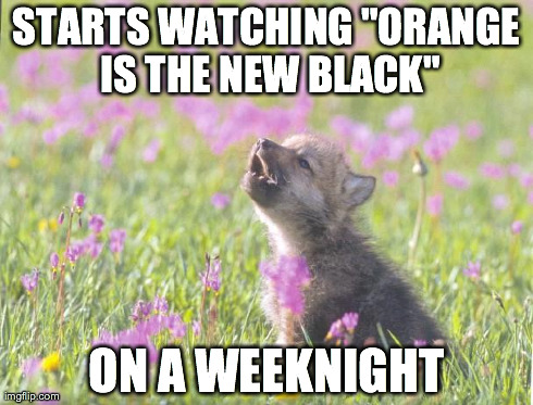 Baby Insanity Wolf Meme | STARTS WATCHING "ORANGE IS THE NEW BLACK" ON A WEEKNIGHT | image tagged in memes,baby insanity wolf,AdviceAnimals | made w/ Imgflip meme maker