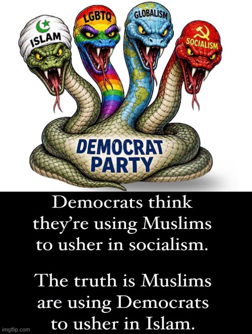 Islam using Democrats as their useful idiots!! | image tagged in idiots | made w/ Imgflip meme maker