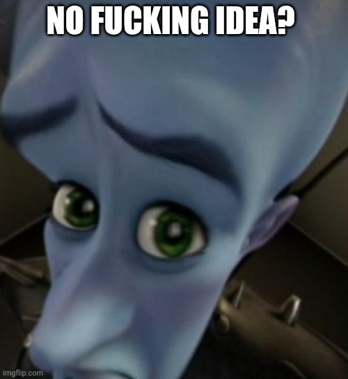 No Fucking Idea? | image tagged in megamind no bitches | made w/ Imgflip meme maker