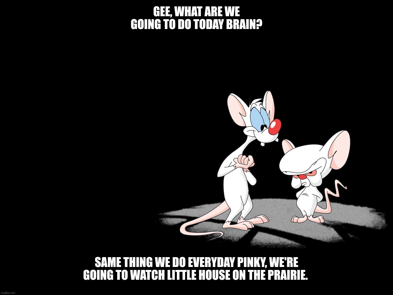 Pinky And The Brain | Gee, What are we going to do today Brain? Same thing we do everyday Pinky, we're going to watch little house on the prairie. | image tagged in pinky and the brain | made w/ Imgflip meme maker