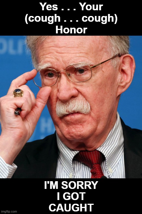 Being Sorry You Got Caught Isn't Good enough | Yes . . . Your
 (cough . . . cough) 
Honor; I'm sorry
I got
caught | image tagged in john bolton | made w/ Imgflip meme maker