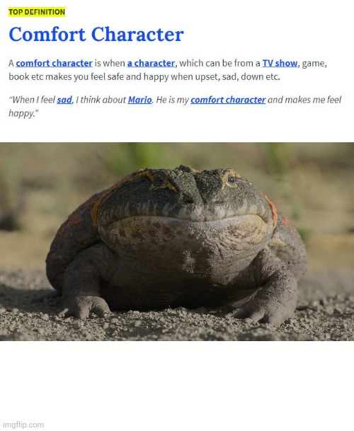 Beelzebufo, The Devil Toad | image tagged in comfort character,memes,frog,animal meme,humor,lol | made w/ Imgflip meme maker