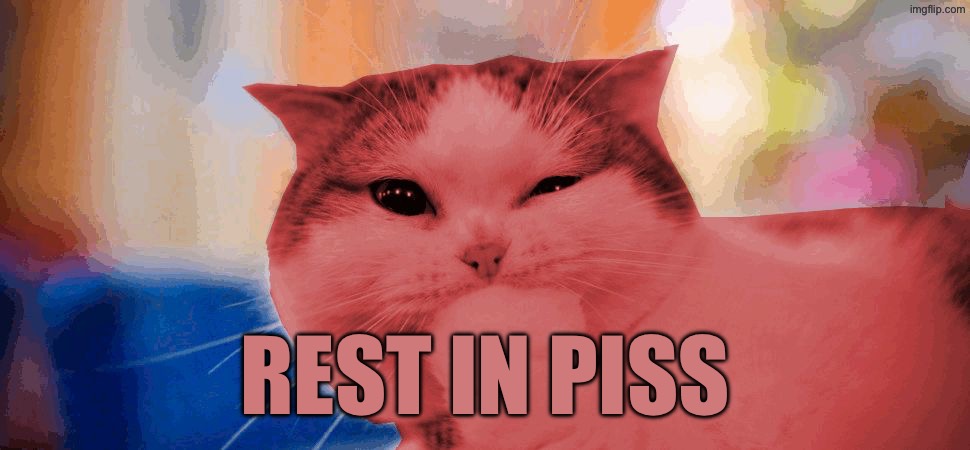 RayCat laughing | Rest in piss | image tagged in raycat laughing | made w/ Imgflip meme maker