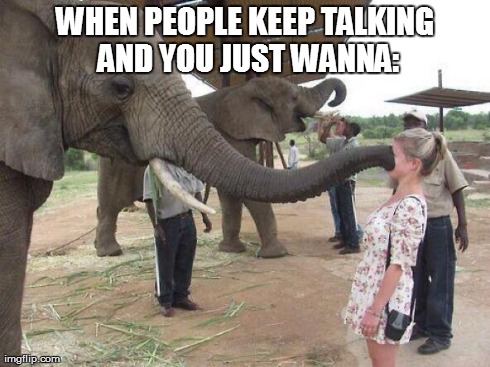 WHEN PEOPLE KEEP TALKING AND YOU JUST WANNA: | image tagged in the shut up elephant | made w/ Imgflip meme maker
