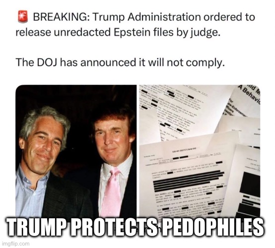 IMG_3081.jpeg | Trump protects pedophiles | image tagged in img_3081 jpeg | made w/ Imgflip meme maker