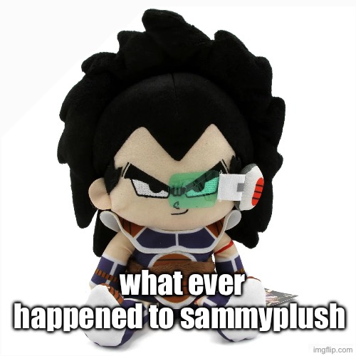 raditz plush | what ever happened to sammyplush | image tagged in raditz plush | made w/ Imgflip meme maker