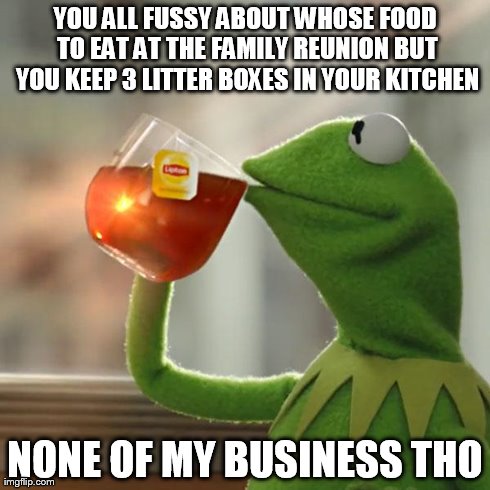 But That's None Of My Business Meme | YOU ALL FUSSY ABOUT WHOSE FOOD TO EAT AT THE FAMILY REUNION BUT YOU KEEP 3 LITTER BOXES IN YOUR KITCHEN NONE OF MY BUSINESS THO | image tagged in memes,but thats none of my business,kermit the frog | made w/ Imgflip meme maker