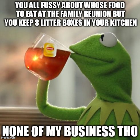 But That's None Of My Business | YOU ALL FUSSY ABOUT WHOSE FOOD TO EAT AT THE FAMILY REUNION BUT YOU KEEP 3 LITTER BOXES IN YOUR KITCHEN NONE OF MY BUSINESS THO | image tagged in memes,but thats none of my business,kermit the frog | made w/ Imgflip meme maker