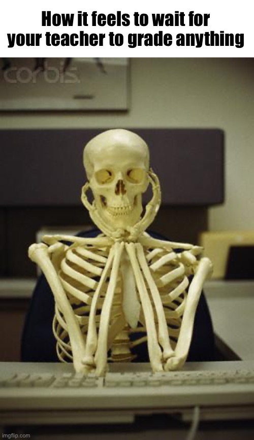 Waiting Skeleton | How it feels to wait for your teacher to grade anything | image tagged in waiting skeleton | made w/ Imgflip meme maker