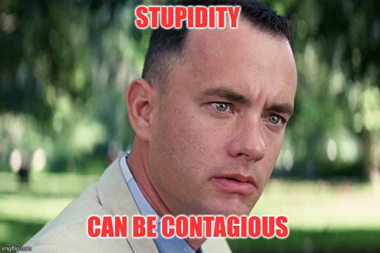 Stupidity | Stupidity; Can be contagious | image tagged in forrest gump - and just like that - hd,funny meme | made w/ Imgflip meme maker