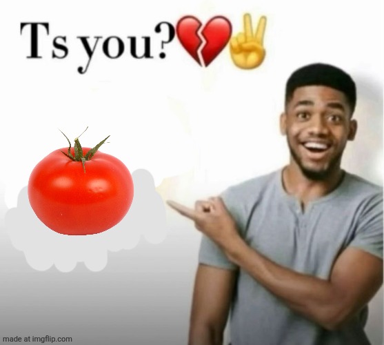 ts you? | image tagged in ts you | made w/ Imgflip meme maker